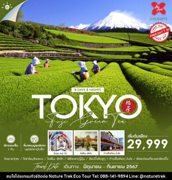 ทัวร์ญี่ปุ่น TOKYO FUJI GREEN TEA  - NATURE TREK ECO TOUR & TRAVEL