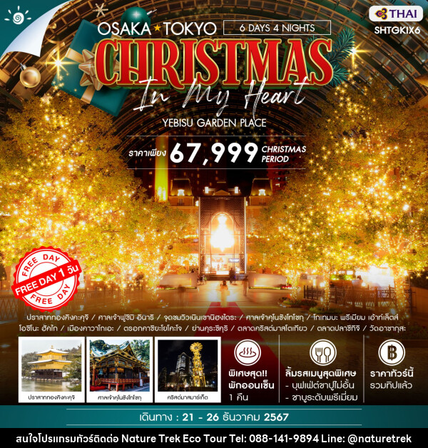 ทัวร์ญี่ปุ่น OSAKA TOKYO CHRISTMAS IN MY HEART  - NATURE TREK ECO TOUR & TRAVEL