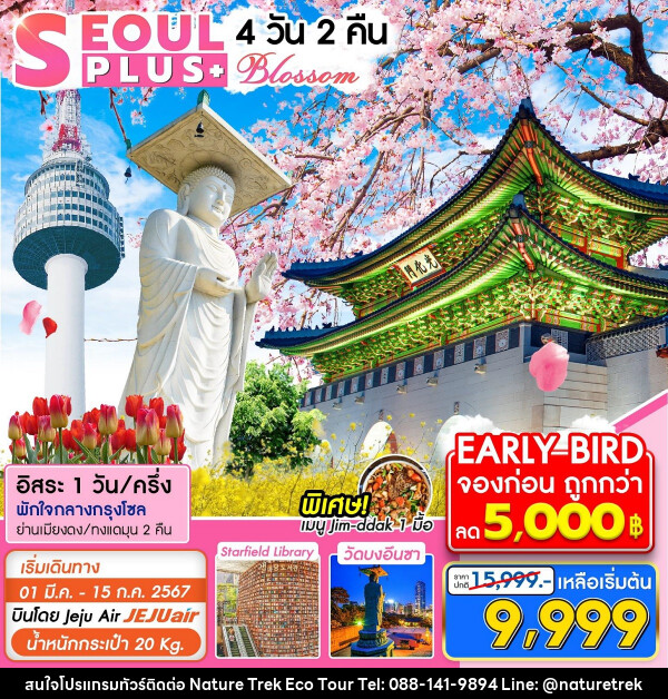 ทัวร์เกาหลี SEOUL PLUS+ Blossom - NATURE TREK ECO TOUR & TRAVEL