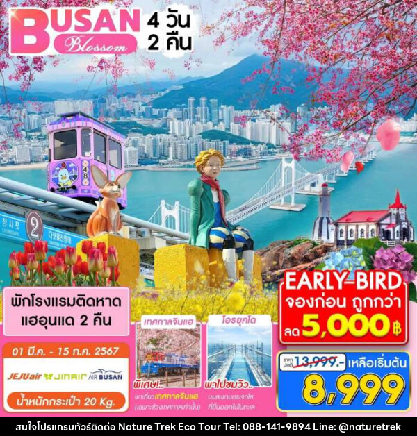 ทัวร์เกาหลี ปูซาน BLOSSOM - NATURE TREK ECO TOUR & TRAVEL