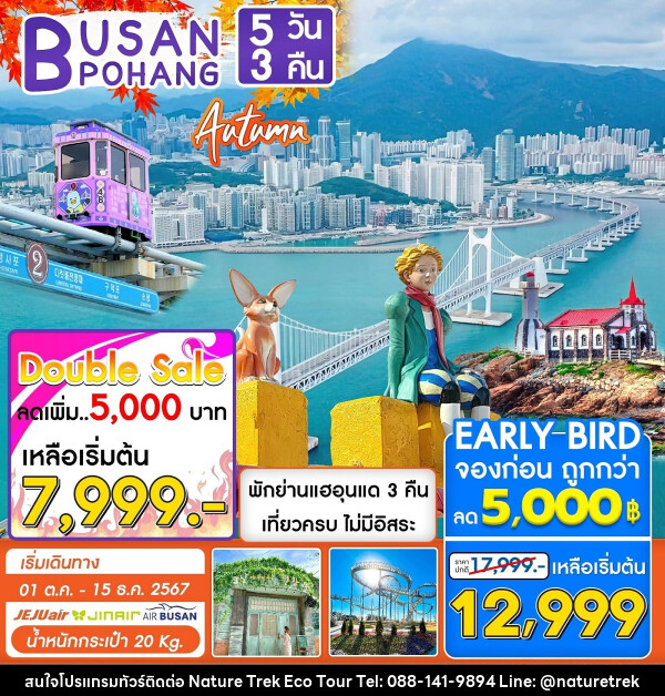 ทัวร์เกาหลี BUSAN POHANG AUTUMN - NATURE TREK ECO TOUR & TRAVEL