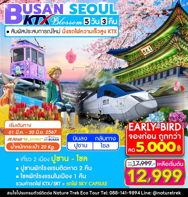 ทัวร์เกาหลี BUSAN SEOUL KTX Blossom - NATURE TREK ECO TOUR & TRAVEL