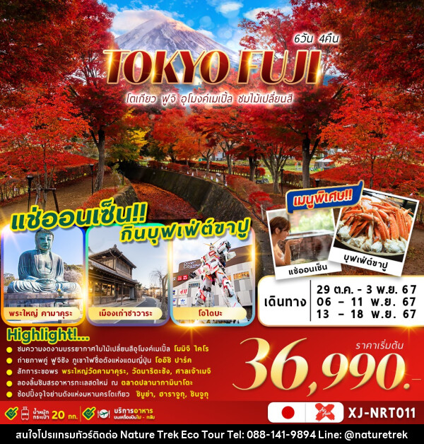 ทัวร์ญี่ปุ่น TOKYO FUJI โตเกียว ฟูจิ อุโมงค์เมเปิ้ล ชมใบไม้เปลี่ยนสี  - NATURE TREK ECO TOUR & TRAVEL