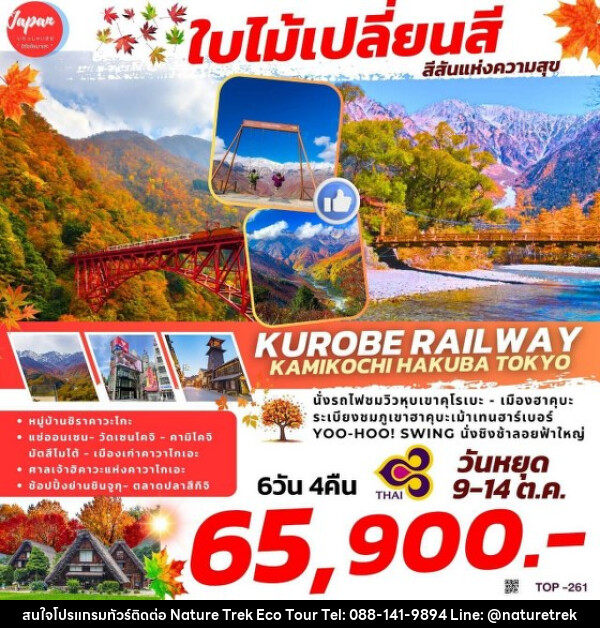 ทัวร์ญี่ปุ่น KUROBE RAILWAY KAMIKOCHI HAKUBA TOKYO - NATURE TREK ECO TOUR & TRAVEL