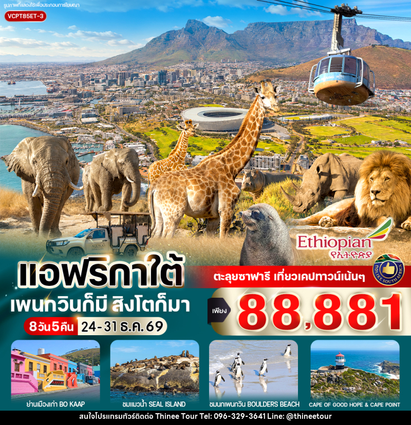 ทัวร์แอฟริกาใต้ แพนกวินก็มี สิงโตก็มา - บริษัท ที่นี่ วีไอพี จำกัด ทัวร์แอฟริกาใต้ แพนกวินก็มี สิงโตก็มา - บริษัท ที่นี่ วีไอพี จำกัด