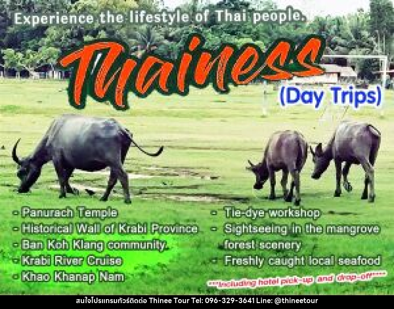 แพ็คเกจทัวร์กระบี่ Thainess Day Trips - บริษัท ที่นี่ วีไอพี จำกัด แพ็คเกจทัวร์กระบี่ Thainess Day Trips - บริษัท ที่นี่ วีไอพี จำกัด