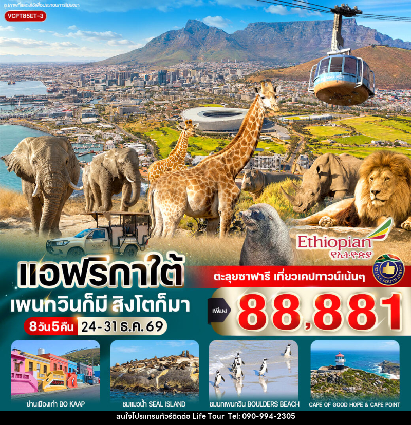 ทัวร์แอฟริกาใต้ แพนกวินก็มี สิงโตก็มา - ไลฟ์ ทัวร์