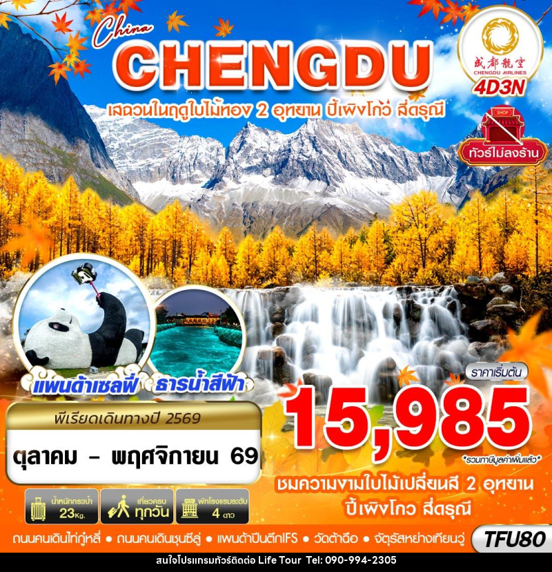 ทัวร์จีน เฉิงตู ชมใบไม้เปลี่ยนสี ปี้เผิงโกว สี่ดรุณี ไม่ลงร้าน - ไลฟ์ ทัวร์