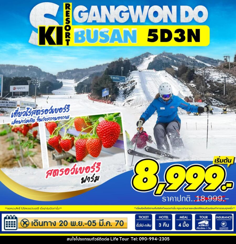 ทัวร์เกาหลี GANGWON DO SKI RESORT BUSAN - ไลฟ์ ทัวร์