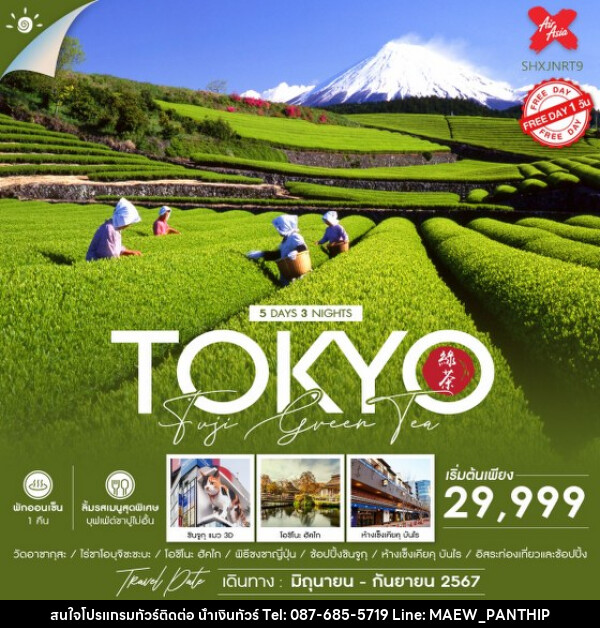 ทัวร์ญี่ปุ่น TOKYO FUJI GREEN TEA  - บริษัท น้ำเงินทัวร์ จำกัด