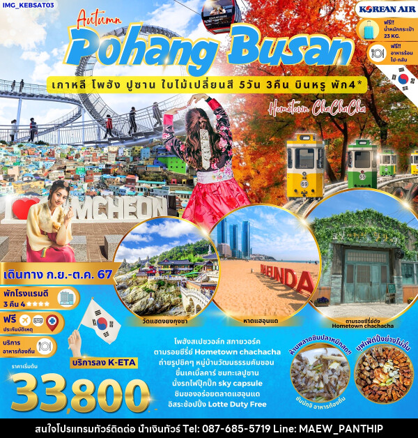 ทัวร์เกาหลี Autumn Pohang Busan เกาหลี โพฮัง ปูซาน ใบไม้เปลี่ยนสี - บริษัท น้ำเงินทัวร์ จำกัด