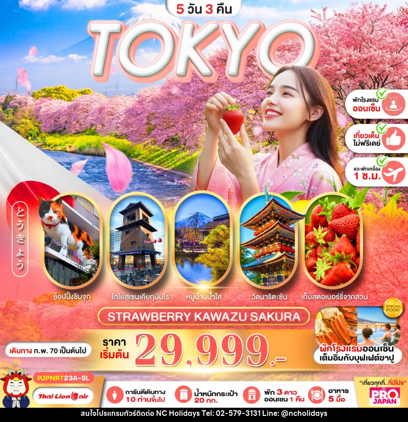 ทัวร์ญี่ปุ่น PRO TOKYO STRAWBERRY KAWAZU SAKURA - บริษัท เอ็นซี ฮอลิเดย์ทัวร์ จำกัด