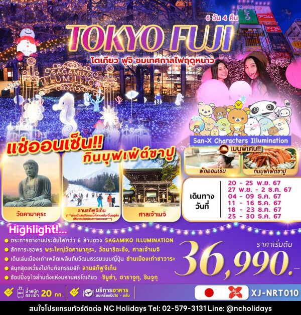 ทัวร์ญี่ปุ่น TOKYO FUJI  ชมงานประดับไฟ เล่นสกีฤดูหนาว  - บริษัท เอ็นซี ฮอลิเดย์ทัวร์ จำกัด