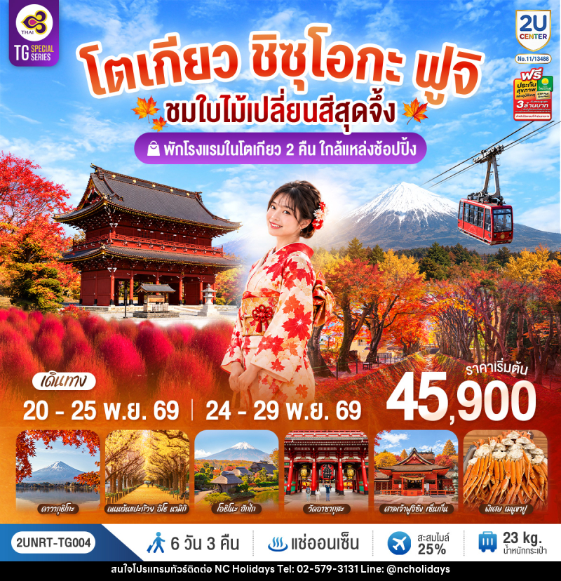 ทัวร์ญี่ปุ่น โตเกียว ชิซุโอกะ ฟูจิ นั่งกระเช้าคาจิคาจิ ชมใบไม้เปลี่ยนสีสุดจึ้ง - บริษัท เอ็นซี ฮอลิเดย์ทัวร์ จำกัด