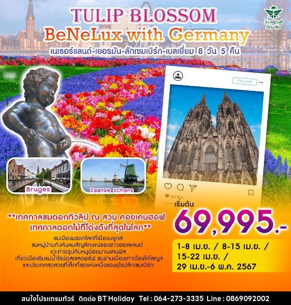 ทัวร์ยุโรป Tulip Blossom BeNeLux with Germany เนเธอร์แลนด์-เยอรมัน-ลักเซมเบิร์ก-เบลเยี่ยม  - บริษัท บีที ฮอลิเดย์ จำกัด