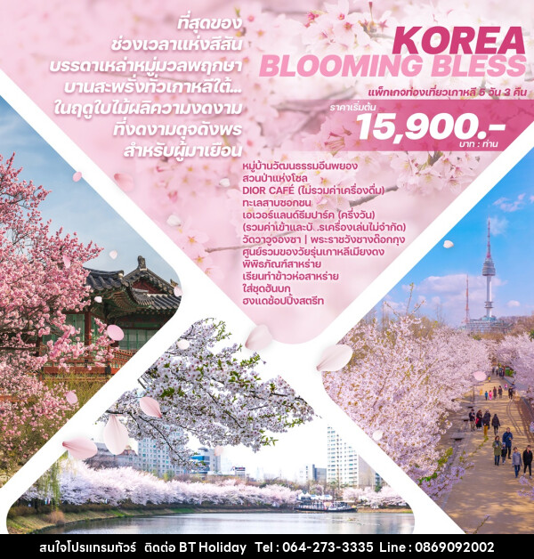 ทัวร์เกาหลี KOREA BLOOMING BLESS   - บริษัท บีที ฮอลิเดย์ จำกัด