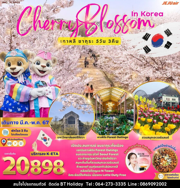 ทัวร์เกาหลี Cherry Blossom in Korea - บริษัท บีที ฮอลิเดย์ จำกัด