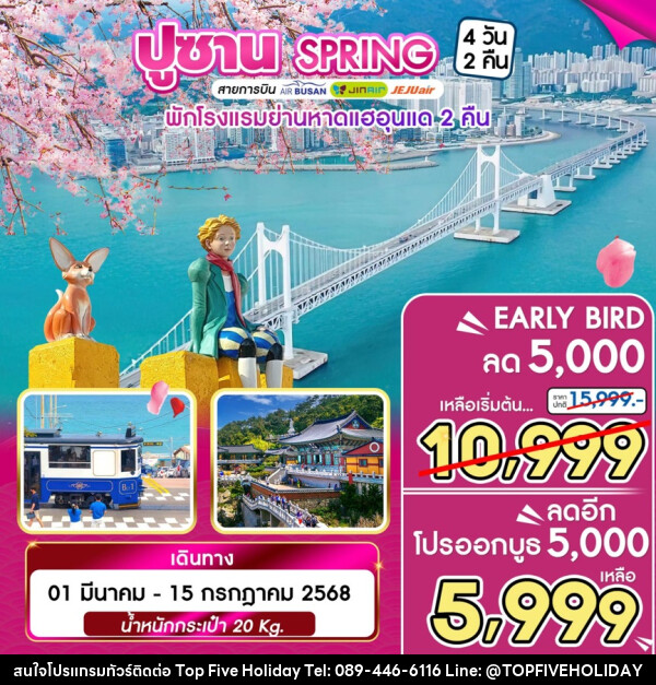 ทัวร์เกาหลี ปูซาน SPRING - บริษัท ท็อปไฟว์ ฮอลิเดย์ จำกัด