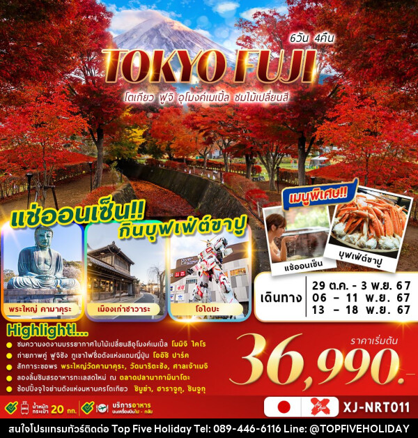 ทัวร์ญี่ปุ่น TOKYO FUJI AUTUMN - บริษัท ท็อปไฟว์ ฮอลิเดย์ จำกัด