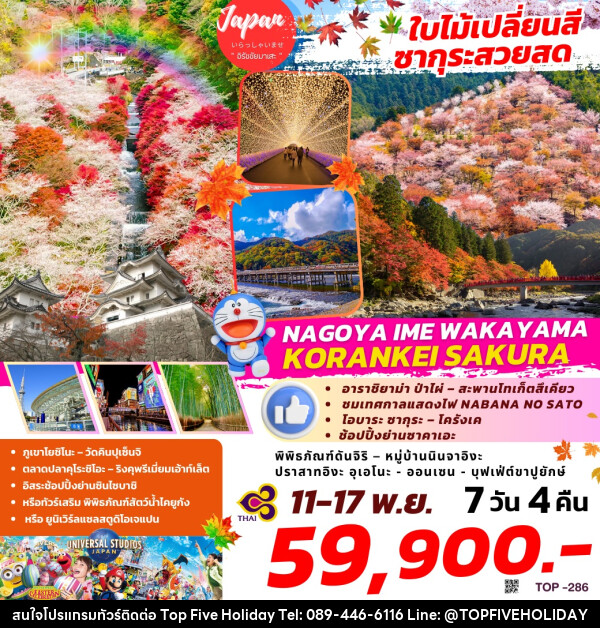 ทัวร์ญี่ปุ่น ใบไม้เปลี่ยนสี ซากุระสวยสด NAGOYA IME WAKAYAMA KORANKEI SAKURA - บริษัท ท็อปไฟว์ ฮอลิเดย์ จำกัด