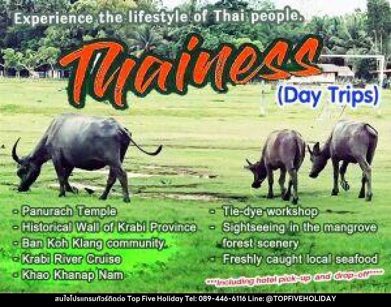 แพ็คเกจทัวร์กระบี่ Thainess Day Trips - บริษัท ท็อปไฟว์ ฮอลิเดย์ จำกัด แพ็คเกจทัวร์กระบี่ Thainess Day Trips - บริษัท ท็อปไฟว์ ฮอลิเดย์ จำกัด