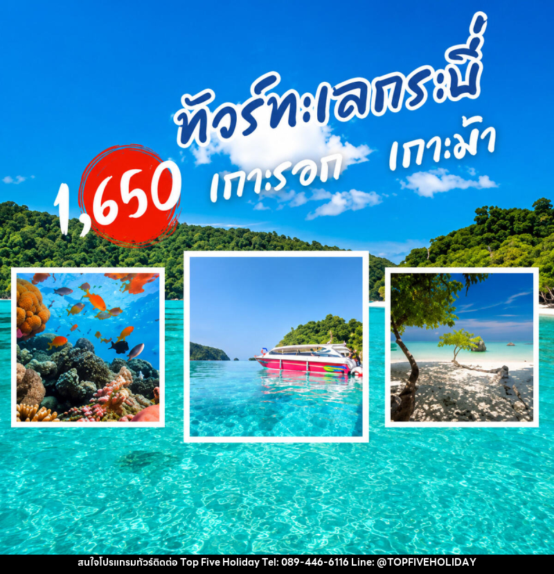 แพ็คเกจทัวร์กระบี่ เกาะรอก เกาะม้า - บริษัท ท็อปไฟว์ ฮอลิเดย์ จำกัด แพ็คเกจทัวร์กระบี่ เกาะรอก เกาะม้า - บริษัท ท็อปไฟว์ ฮอลิเดย์ จำกัด