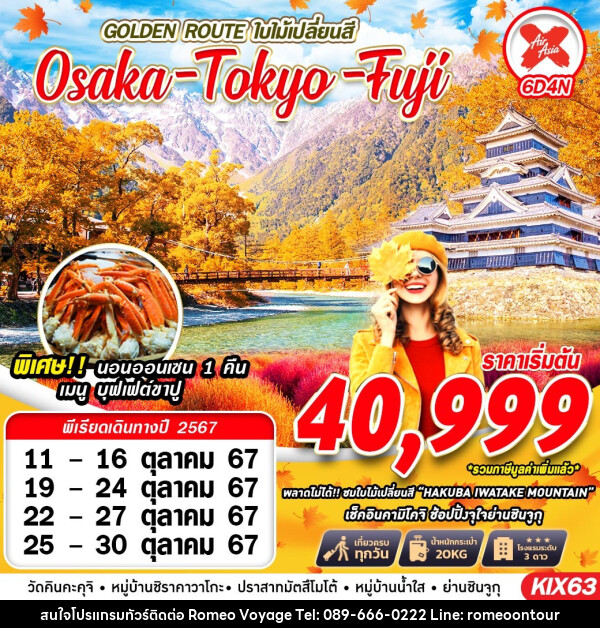 ทัวร์ญี่ปุ่น GOLDEN ROUTE ใบไม้เปลี่ยนสี Osaka Tokyo Fuji - บริษัท โรมิโอ โวยาจ จำกัด