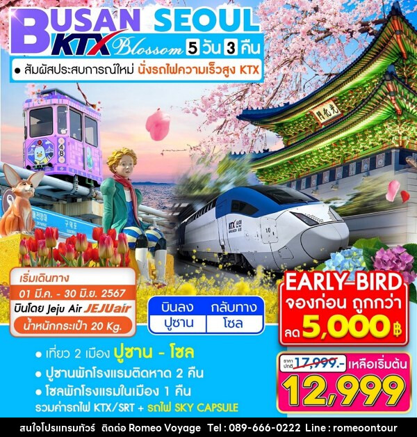 ทัวร์เกาหลี BUSAN SEOUL  - บริษัท โรมิโอ โวยาจ จำกัด