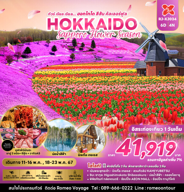 ทัวร์ญี่ปุ่น ฮอกไกโด Sapporo Hower Season - บริษัท โรมิโอ โวยาจ จำกัด