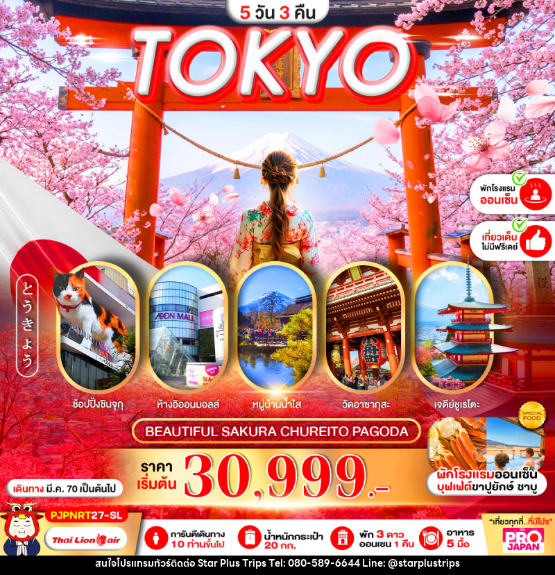 ทัวร์ญี่ปุ่น PRO TOKYO BEAUTIFUL SAKURA CHUREITO PAGODA FULL DAY - บริษัท สตาร์ พลัส ทริปส์ จำกัด
