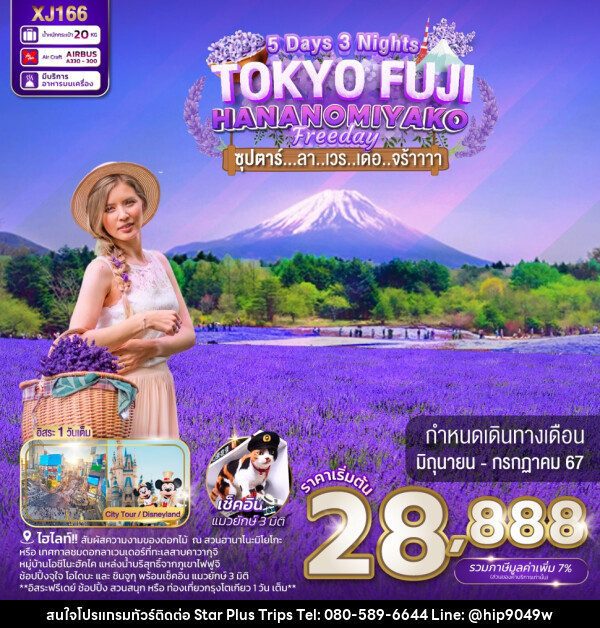 ทัวร์ญี่ปุ่น TOKYO FUJI HANANOMIYAKO FREEDAY - บริษัท สตาร์ พลัส ทริปส์ จำกัด