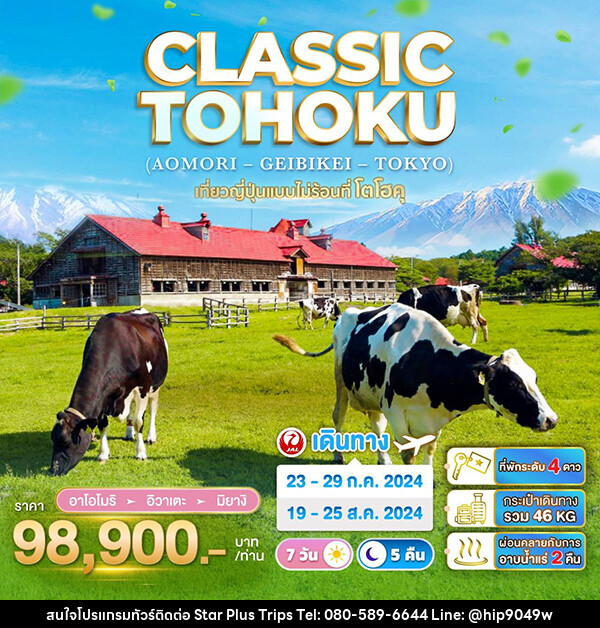 ทัวร์ญี่ปุ่น CLASSIC TOHOKU (AOMORI – GEIBIKEI – TOKYO) - บริษัท สตาร์ พลัส ทริปส์ จำกัด