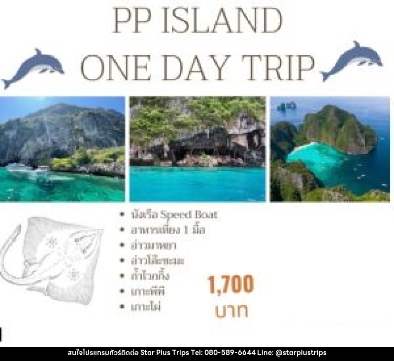 แพ็คเกจทัวร์กระบี่ PP ISLAND ONE DAY TRIP - บริษัท สตาร์ พลัส ทริปส์ จำกัด