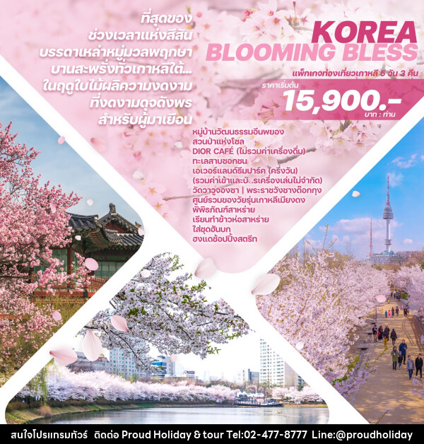 ทัวร์เกาหลี KOREA BLOOMING BLESS   - บริษัท พราวด์ ฮอลิเดย์ แอนด์ ทัวร์ จำกัด