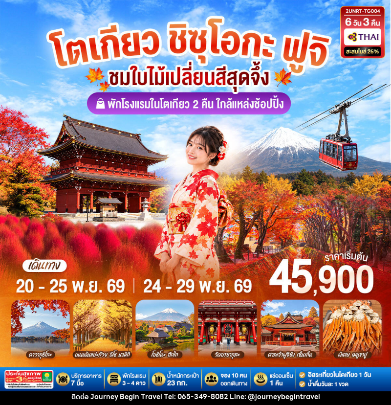 ทัวร์ญี่ปุ่น โตเกียว ชิซุโอกะ ฟูจิ นั่งกระเช้าคาจิคาจิ ชมใบไม้เปลี่ยนสีสุดจึ้ง - บริษัท เจอร์นี่ บีกิน ทราเวล จำกัด