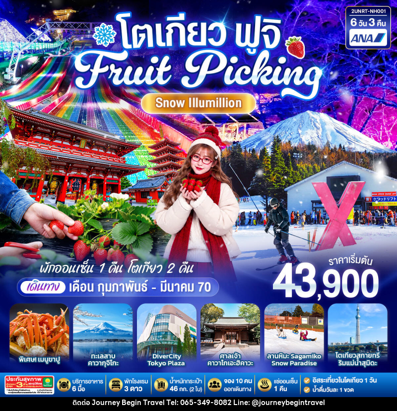 ทัวร์ญี่ปุ่น โตเกียว ฟูจิ FRUIT PICKING SNOW Illumillion - บริษัท เจอร์นี่ บีกิน ทราเวล จำกัด