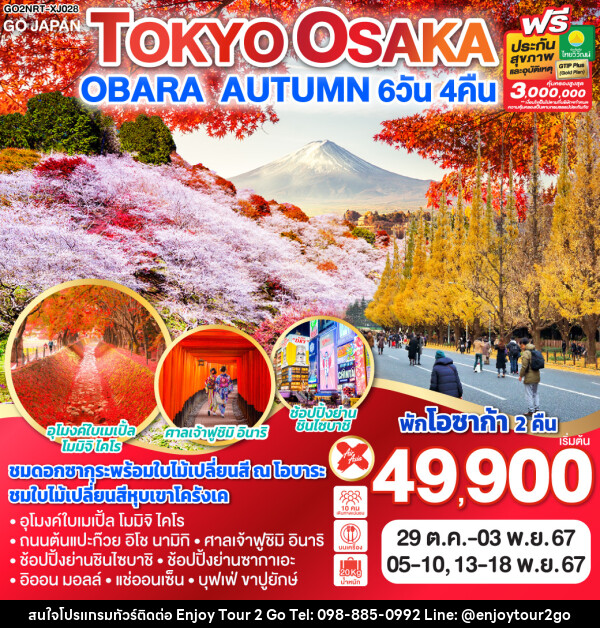 ทัวร์ญี่ปุ่น TOKYO OSAKA OBARA AUTUMN - บริษัท พาราเมาท์ ยูไนเต็ดฮอลิเดย์ จำกัด 