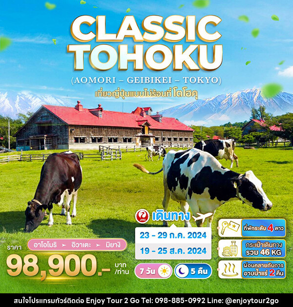 ทัวร์ญี่ปุ่น CLASSIC TOHOKU (AOMORI – GEIBIKEI – TOKYO) - บริษัท พาราเมาท์ ยูไนเต็ดฮอลิเดย์ จำกัด 