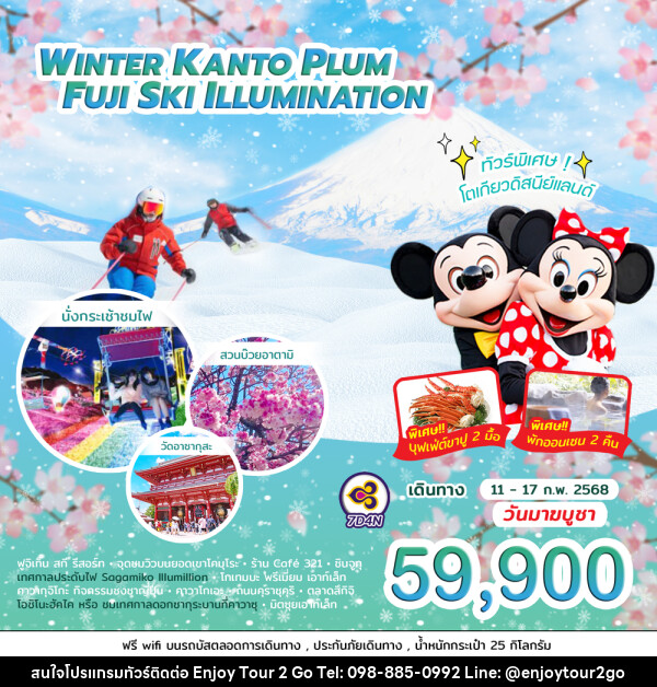 ทัวร์ญี่ปุ่น WINTER KANTO PLUM FUJI SKI ILLUMINATION  - บริษัท พาราเมาท์ ยูไนเต็ดฮอลิเดย์ จำกัด 