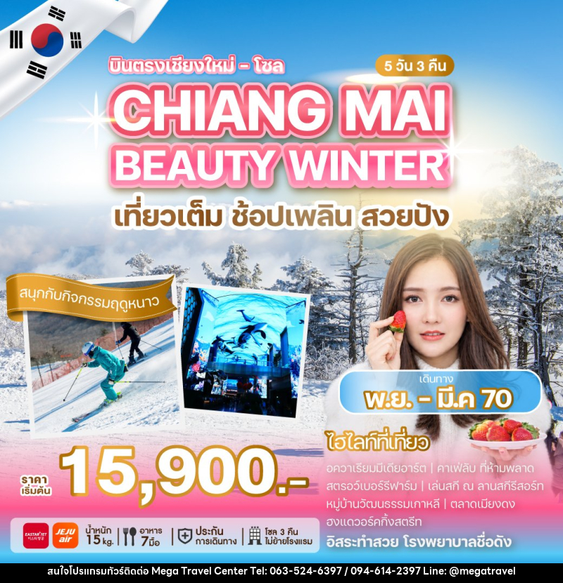 ทัวร์เกาหลี บินตรงเชียงใหม่ - โซล CHIANG MAI BEAUTY WINTER - บริษัท เมกะ ทราเวล จำกัด
