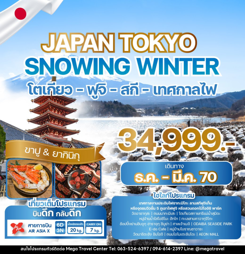 ทัวร์ญี่ปุ่น JAPAN TOKYO SNOWING WINTER - บริษัท เมกะ ทราเวล จำกัด