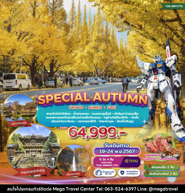 ทัวร์ญี่ปุ่น SPECIAL AUTUMN…TOKYO NIKKO FUJI GINKO FESTIVAL - บริษัท เมกะ ทราเวล จำกัด