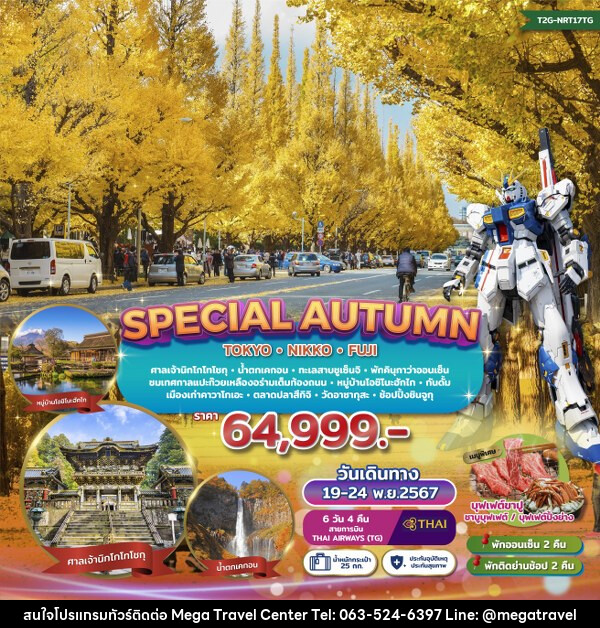 ทัวร์ญี่ปุ่น SPECIAL AUTUMN…TOKYO NIKKO FUJI GINKO FESTIVAL  - บริษัท เมกะ ทราเวล จำกัด