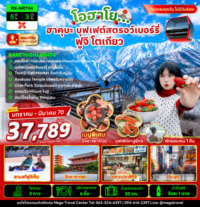 ทัวร์จีน โอฮาโย ฮาคุบะ บุฟเฟ่ต์สตรอว์เบอร์รี่ ฟูจิ โตเกียว - บริษัท เมกะ ทราเวล จำกัด