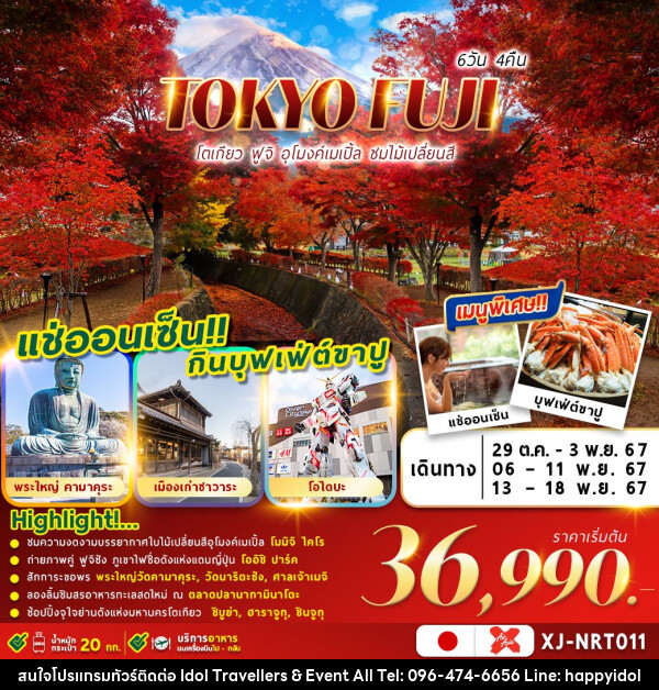 ทัวร์ญี่ปุ่น TOKYO FUJI AUTUMN - บริษัท ไอดอลทราเวลเลอร์ส แอนด์ อีเว้นท์ออล จำกัด 