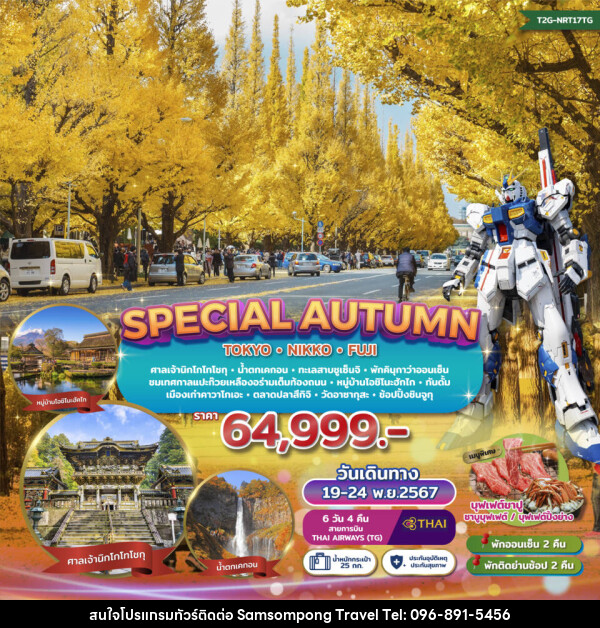 ทัวร์ญี่ปุ่น SPECIAL AUTUMN…TOKYO NIKKO FUJI GINKO FESTIVAL - บริษัท สามสมพงษ์ ทราเวล จำกัด