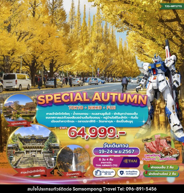 ทัวร์ญี่ปุ่น SPECIAL AUTUMN…TOKYO NIKKO FUJI GINKO FESTIVAL  - บริษัท สามสมพงษ์ ทราเวล จำกัด