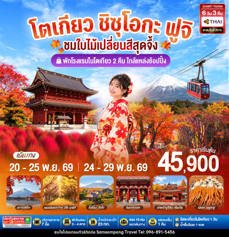 ทัวร์ญี่ปุ่น โตเกียว ชิซุโอกะ ฟูจิ นั่งกระเช้าคาจิคาจิ ชมใบไม้เปลี่ยนสีสุดจึ้ง - บริษัท สามสมพงษ์ ทราเวล จำกัด
