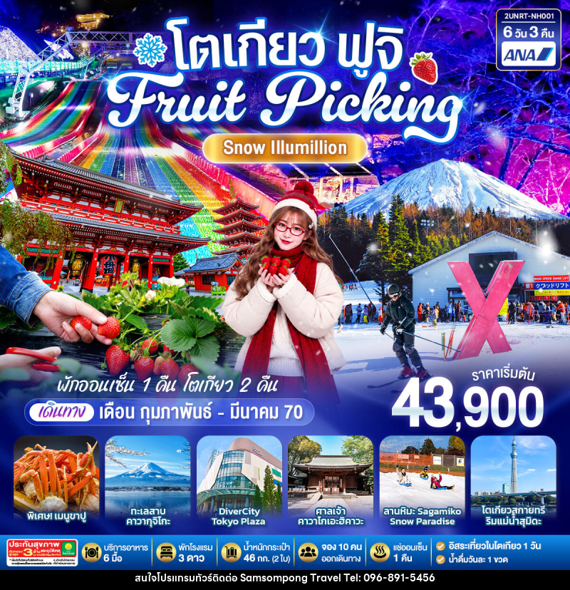 ทัวร์ญี่ปุ่น โตเกียว ฟูจิ FRUIT PICKING SNOW Illumillion - บริษัท สามสมพงษ์ ทราเวล จำกัด