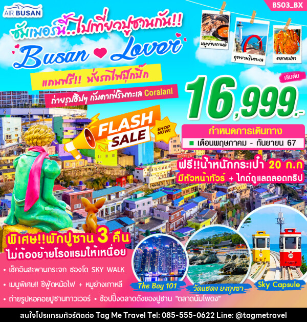 ทัวร์เกาหลี Busan Lover ซัมเมอร์นี้…ไปเที่ยวปูซานกัน !! - TagMe Travel